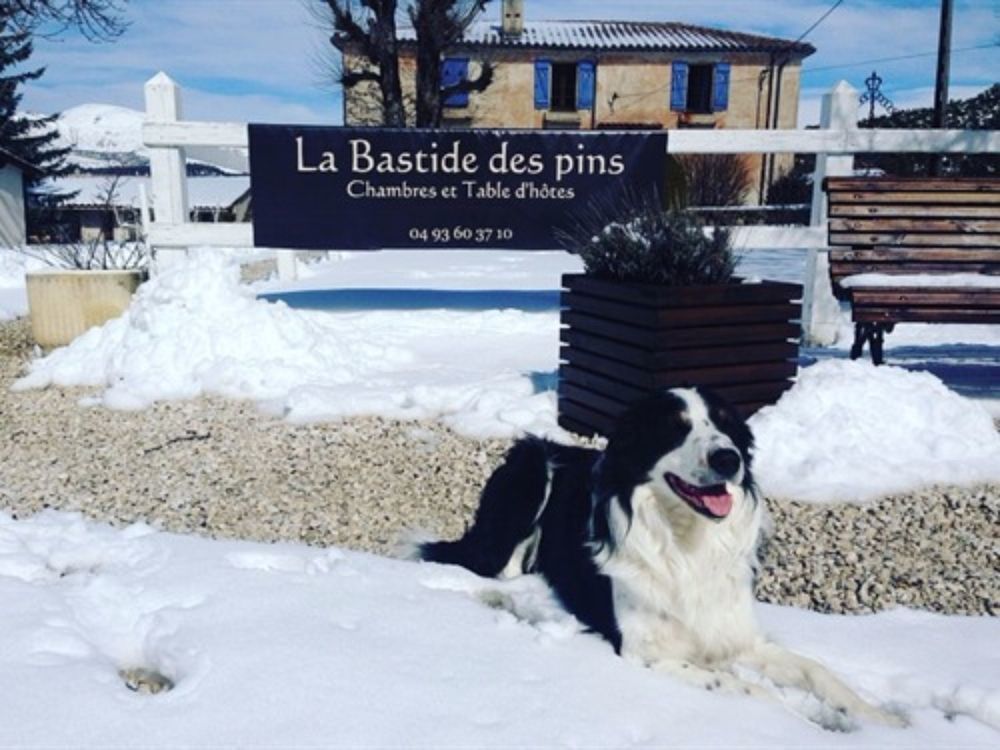 La Bastide Des Pins Hotell Eksteriør bilde